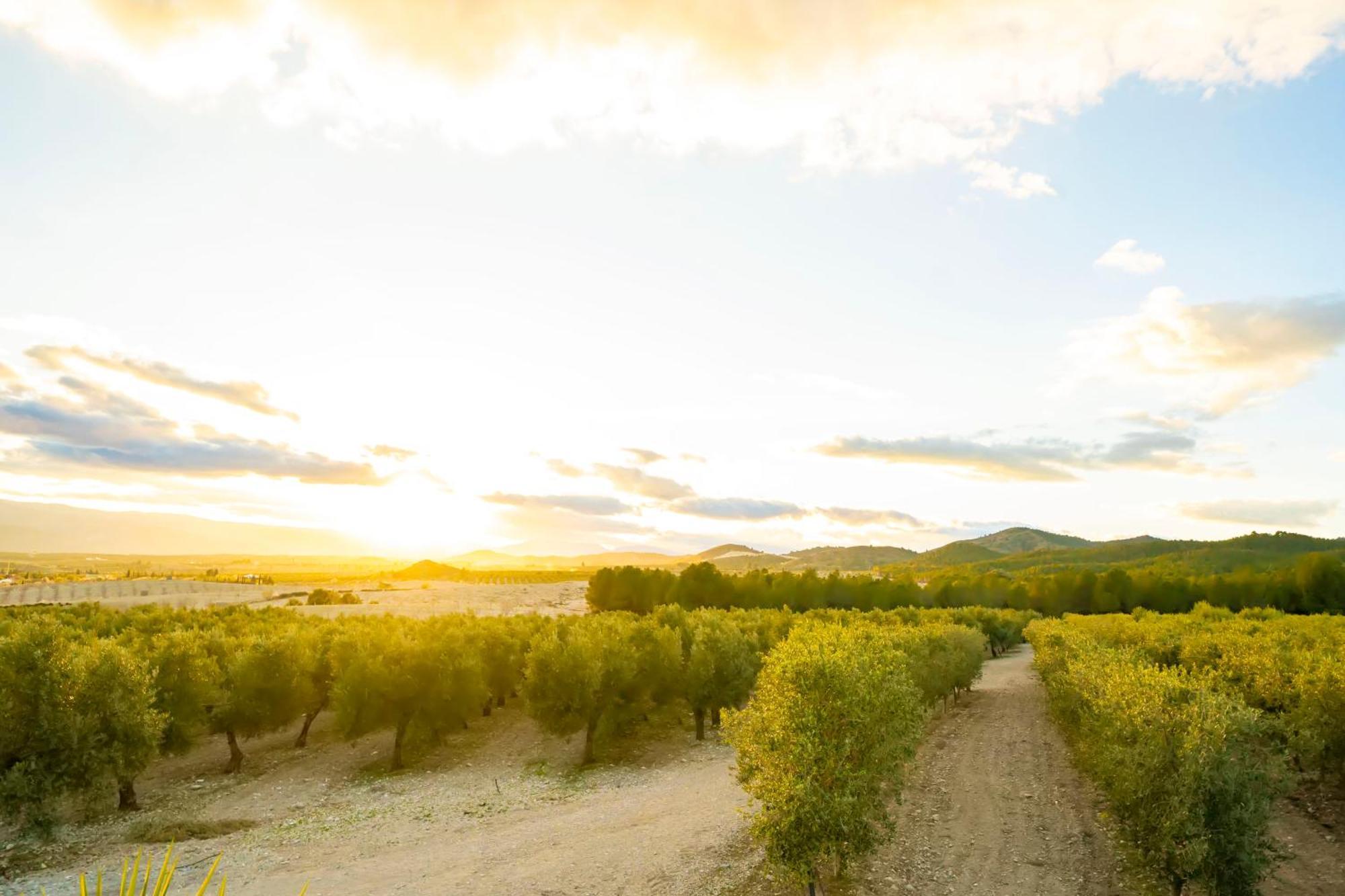 Finca El Espilo Lucar Bagian luar foto