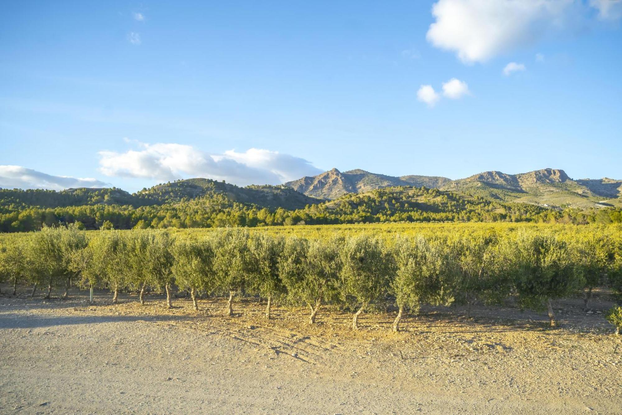 Finca El Espilo Lucar Bagian luar foto